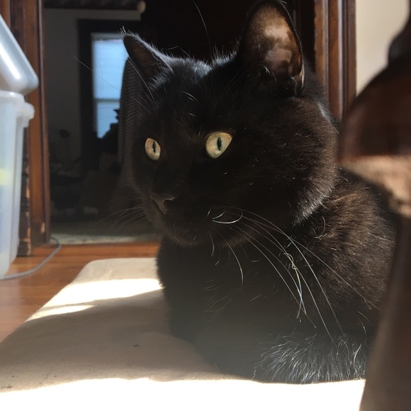 Meet your Posher! - Picture 2 of 5